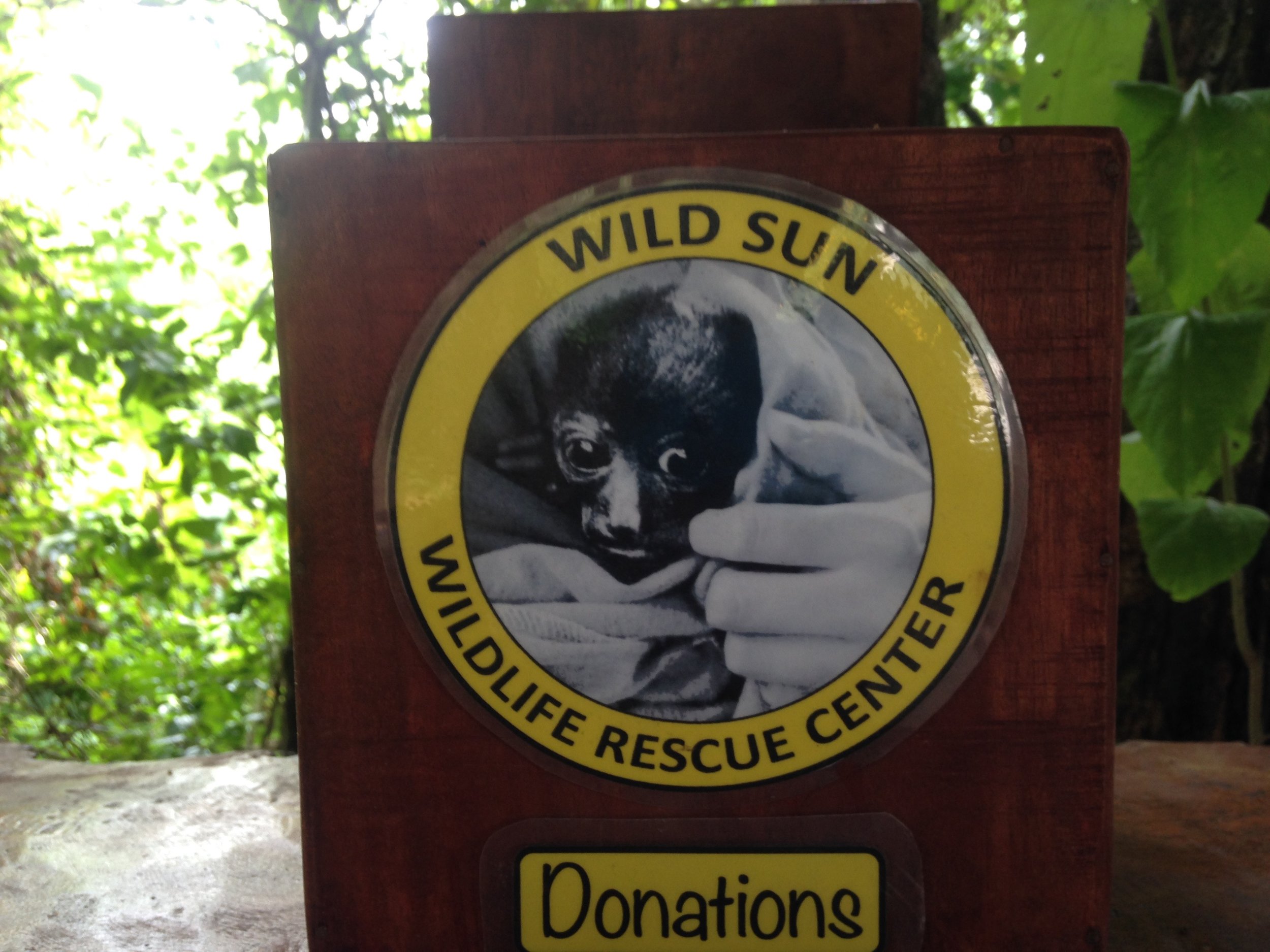 Donation Box.jpg