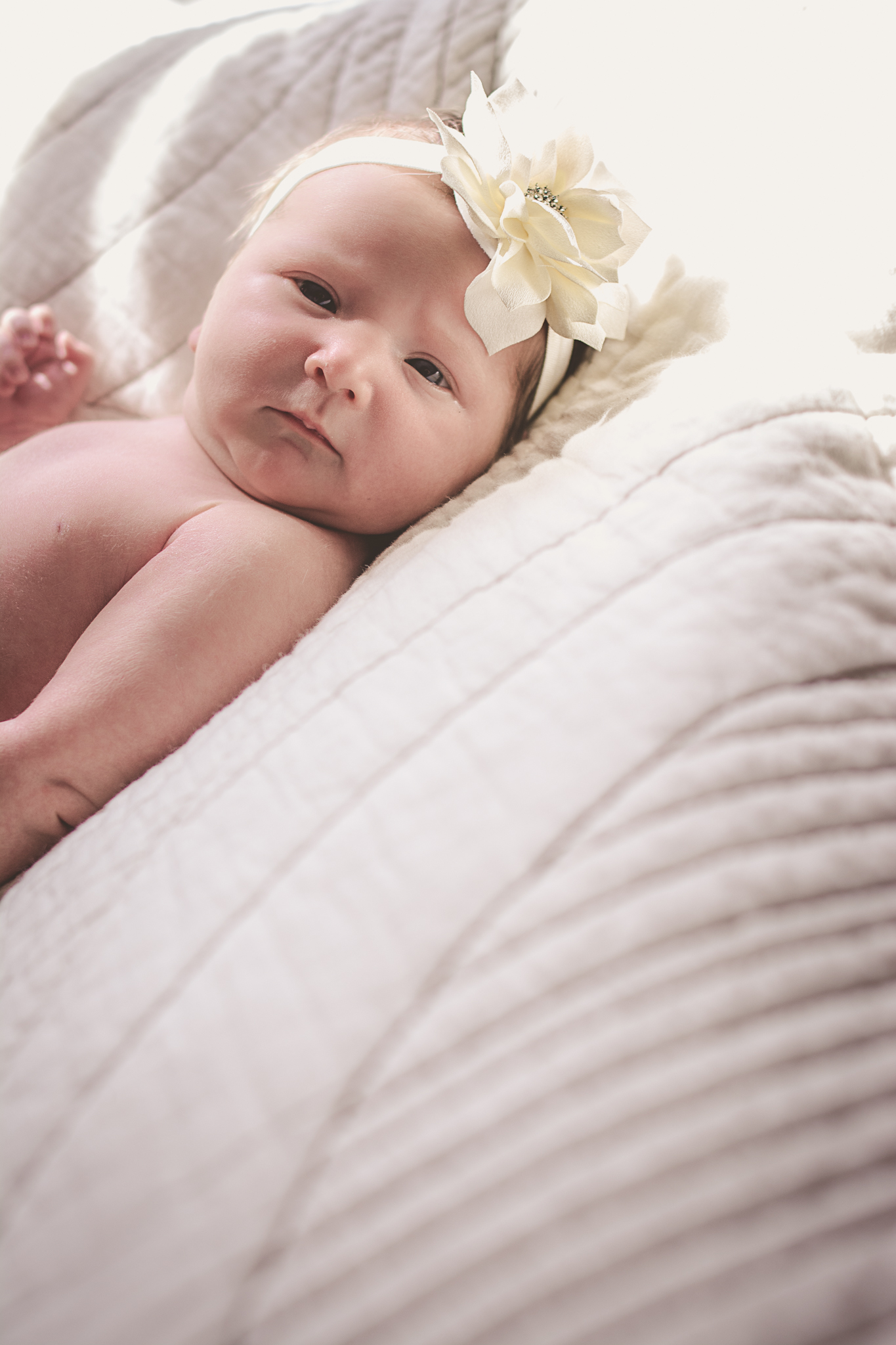 AMELIA-NEWBORN-2017 (13 of 20).jpg