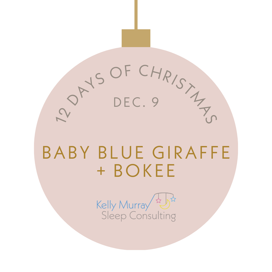 Baby Blue Giraffe and Bokee