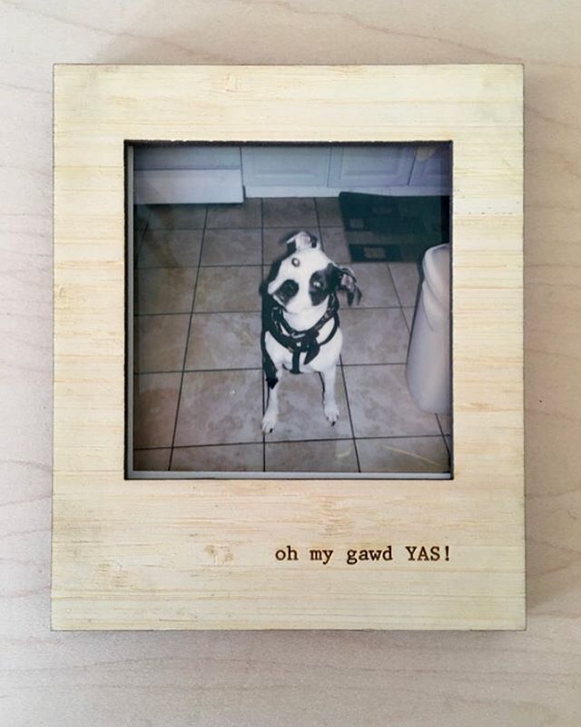 #custom #etched #wooden #polaroid #pictureframes #anyone? #hangs or stands #anywhere. Custom #etching available. DM for custom orders or scope the #Etsy #shop!
.
.
.
#lasercut #lasercutwood #graphicdesign #art #artistsoninstagram #dog #dogsofinstagra