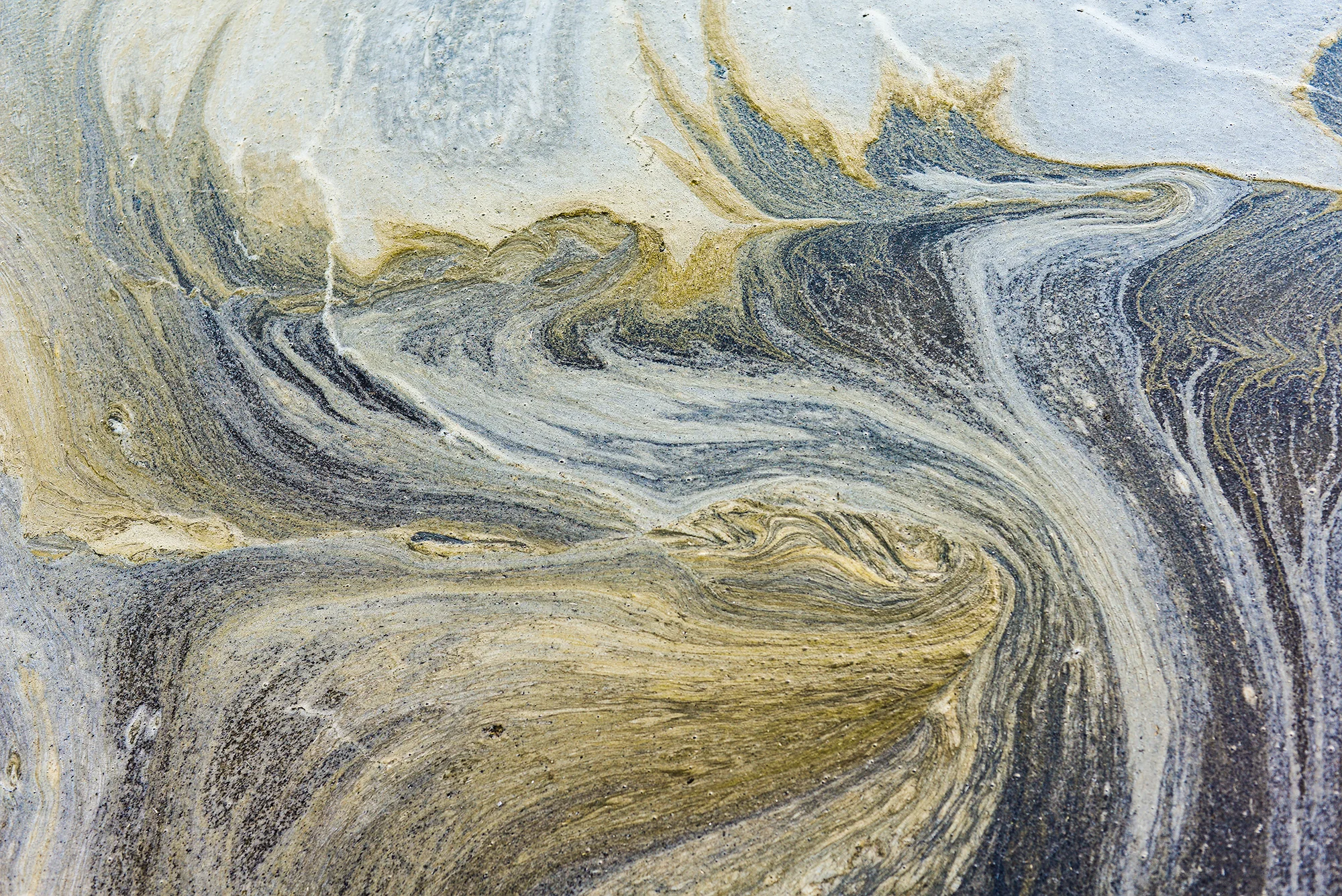 NATURE'S BRUSHSTROKES