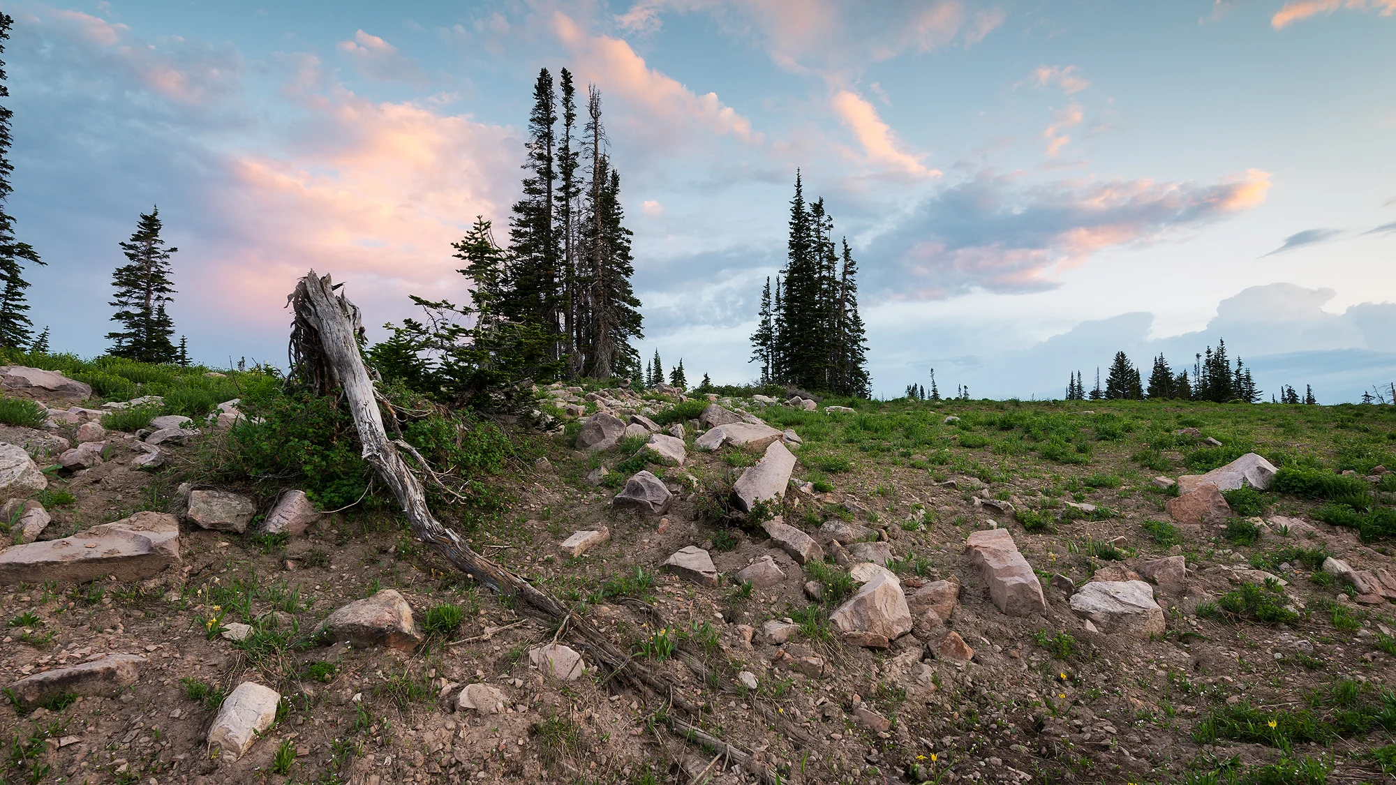 Mountain High Bliss.jpg