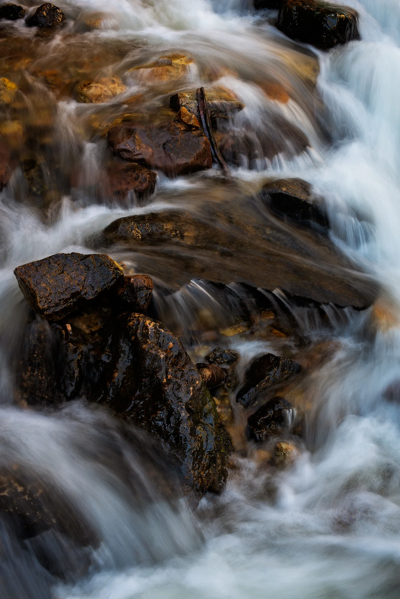 _DSC6648-Edit copy.jpg