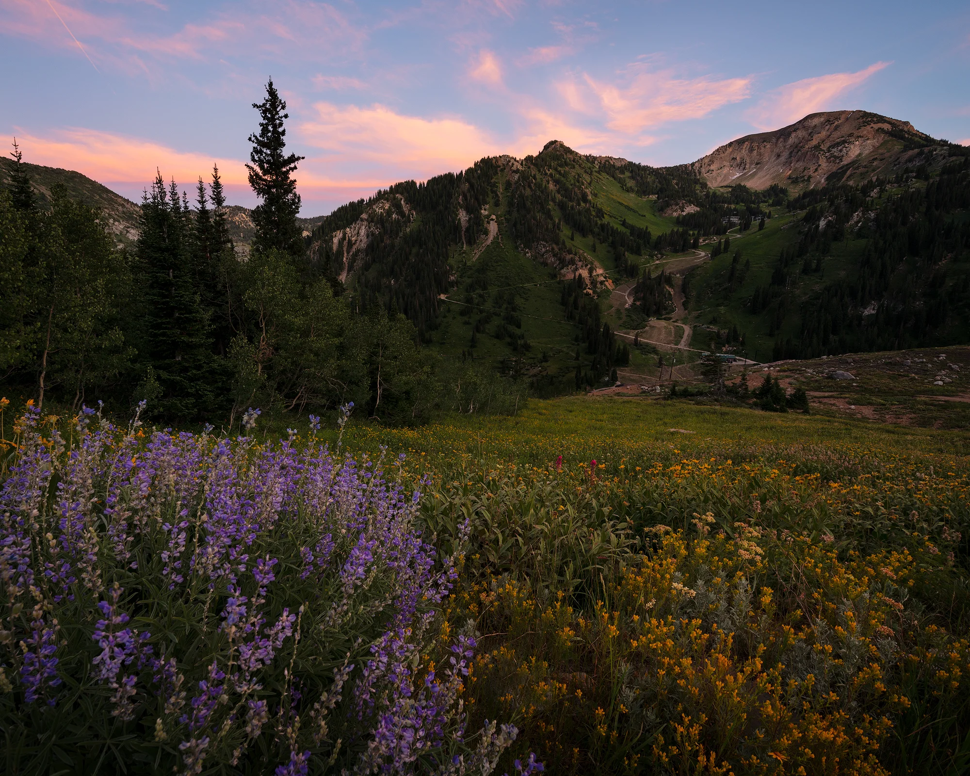 _DSC2105-Edit copy.jpg