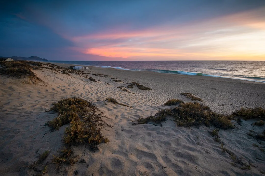 Tortuga Sunsets [2023]