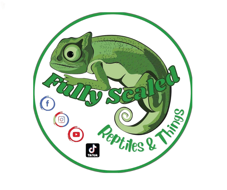 Logo featuring a cartoon green chameleon with large eyes, with the text "Fully Scaled Reptiles & Things" surrounding it. The logo also displays icons for Facebook, Instagram, YouTube, TikTok, and TikTok.