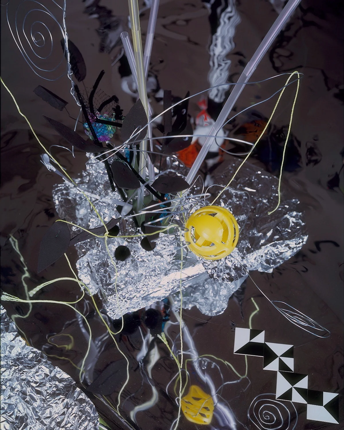 Bloom’n Doom , 2010 3 sizes: 50 x 40, 60 x 48, 20 x 24 inches C-Print from a 4x5 negative Mounted on fugiflex, aluminum and face mounted on plexiglass Taken in 2008 at Miami University, Printed in 2010