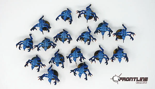 BlueNids6.jpg