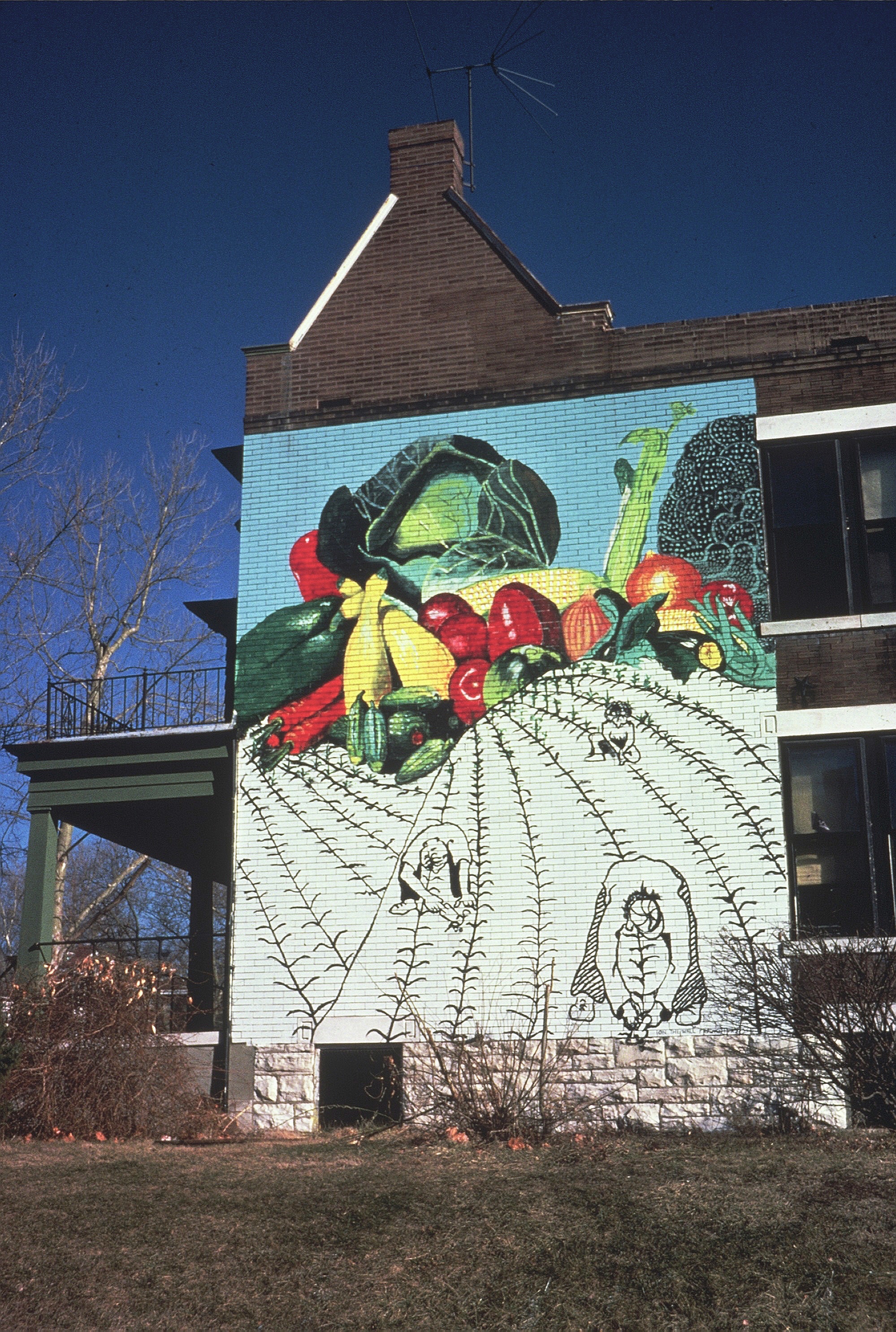 Environmental Response, 1975, St. Louis