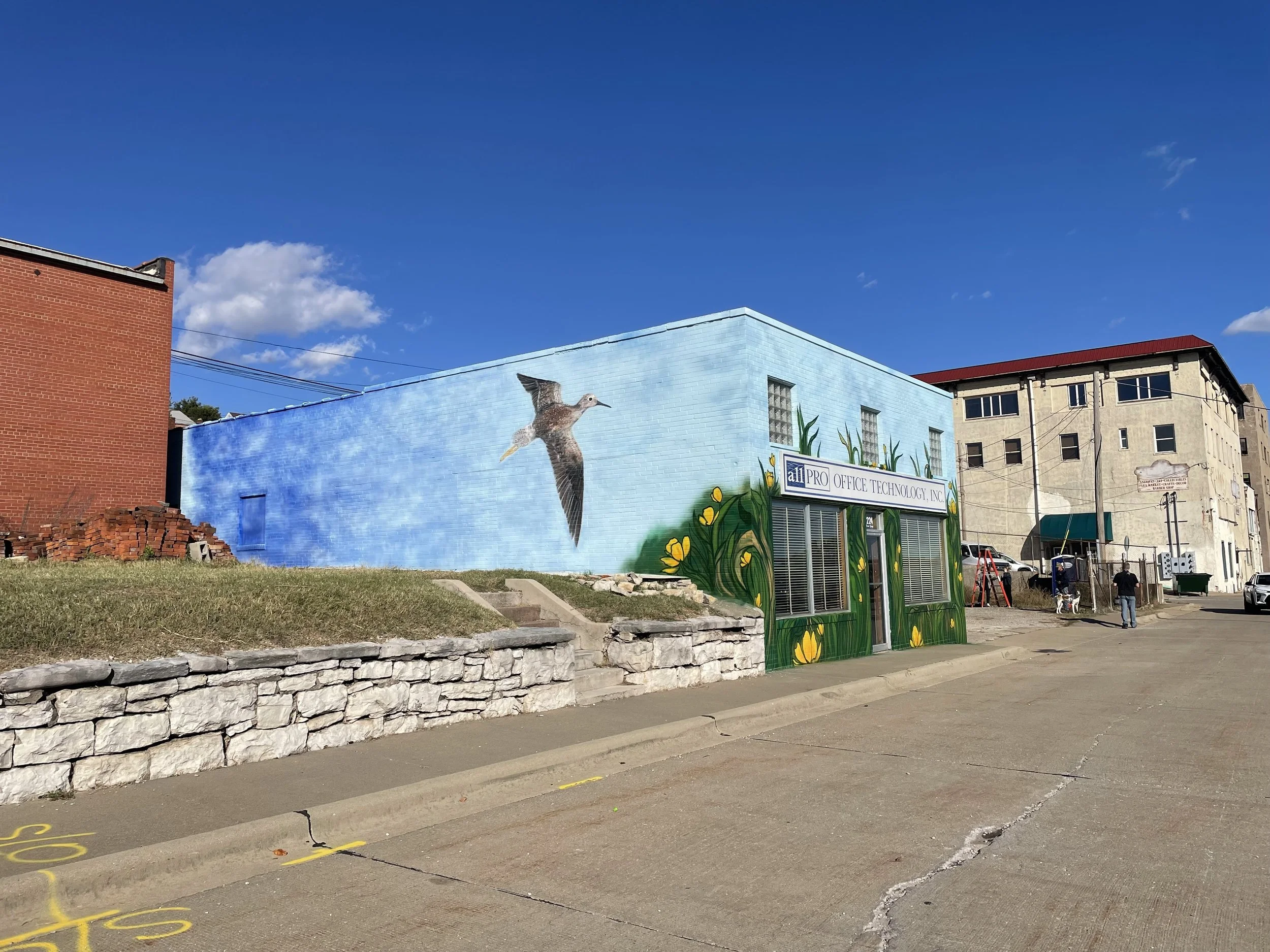 Plight of the Lesser Yellowlegs, West facing wall