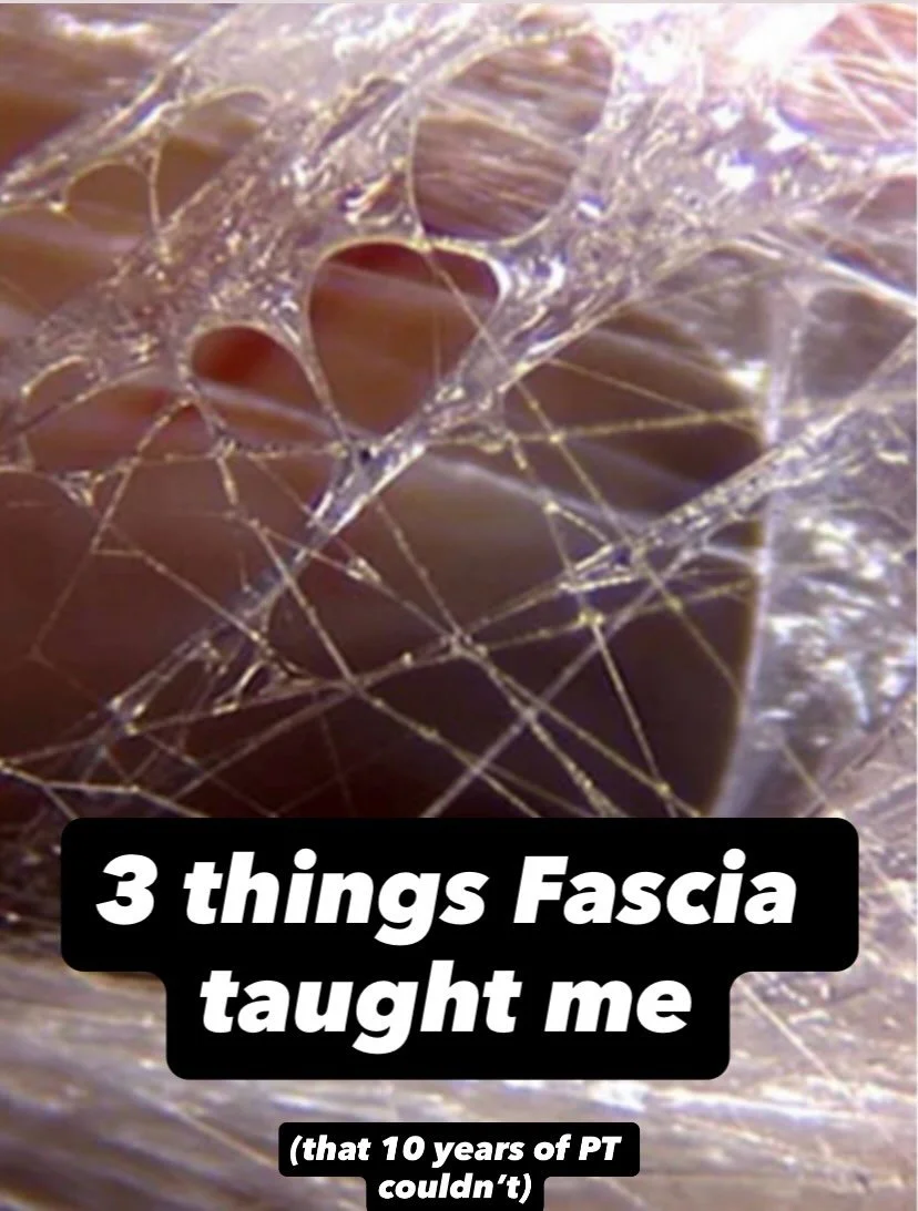 Realize your body is a faithful, sweet companion. May I help you quickly upgrade your relationship to it? Please reach out. I love you. 
#movement #dance #healthymindhealthybody #fascia