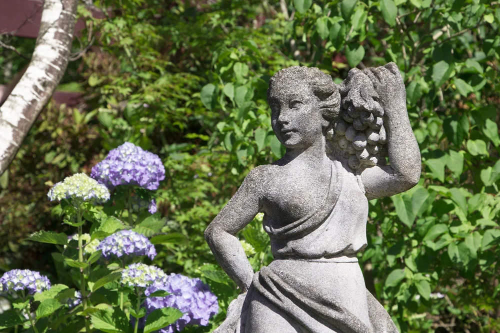3680-woman-with-grapes-and-hydrangeas-1000-60.jpg