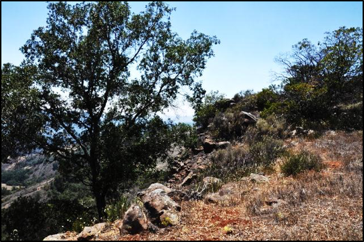 Edge of Miller Mountain