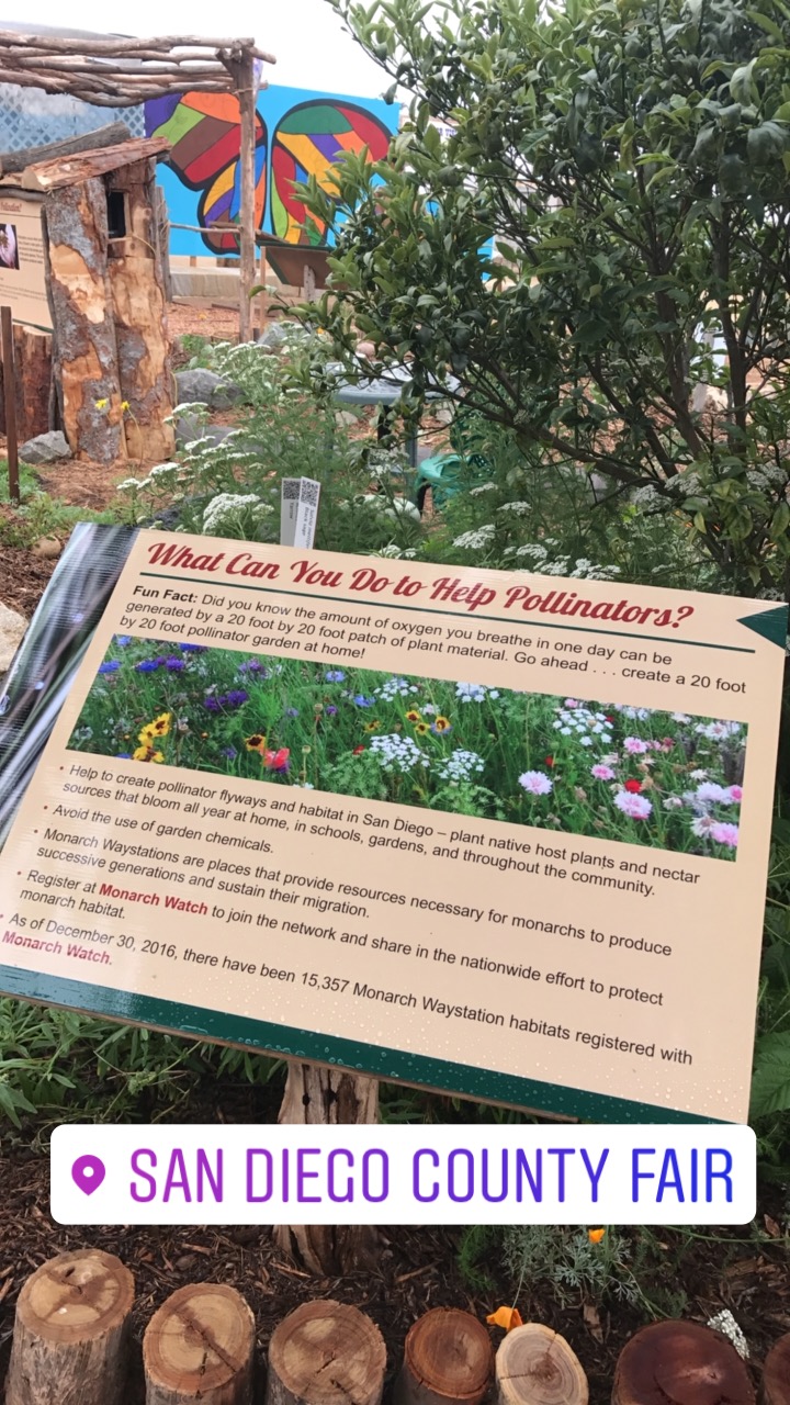 Visit The San Diego County Fair Pollinator Trail California