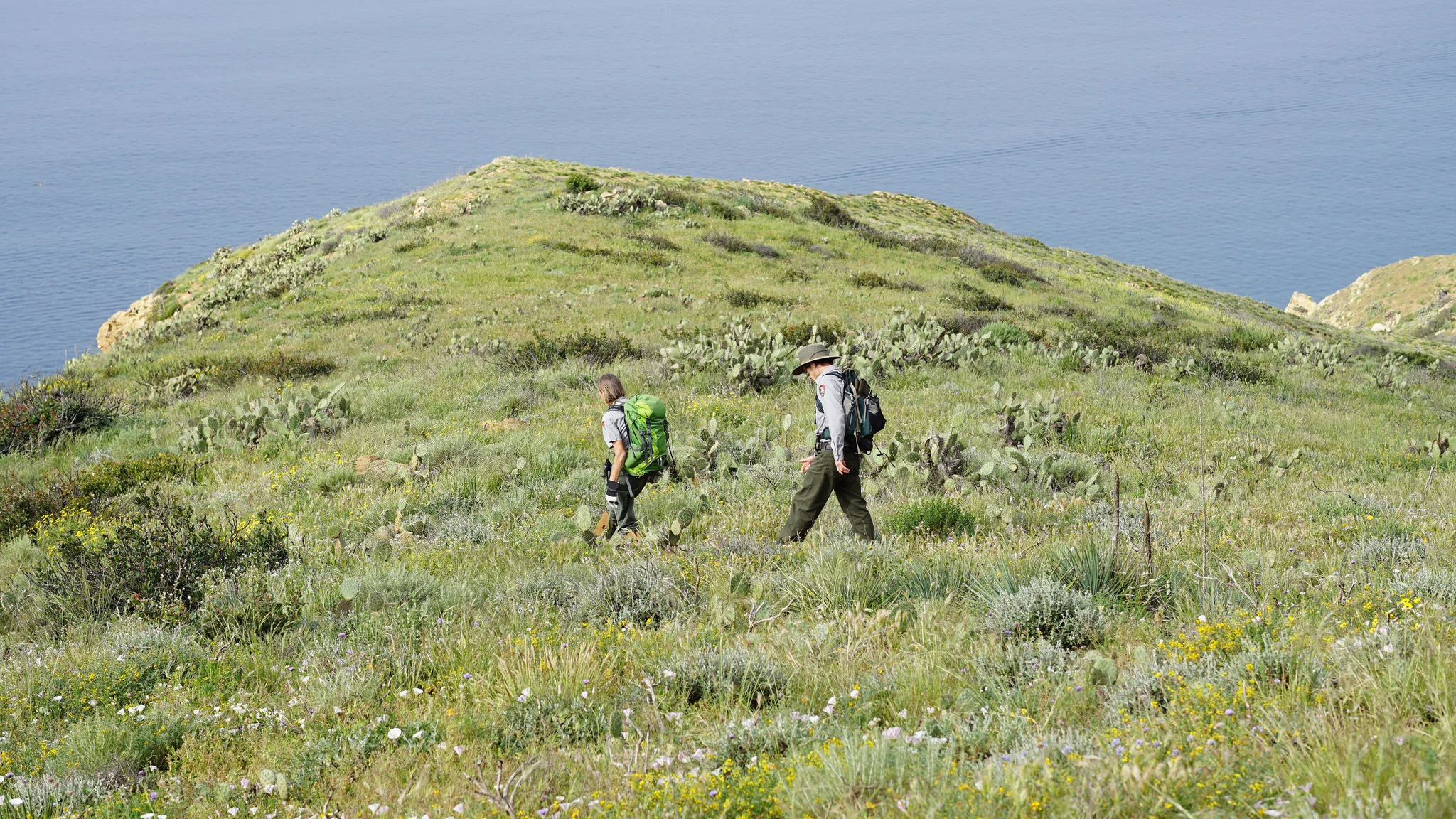 Researchers walk to a transect in Point Mugu State Park. Photo from National Park Service.