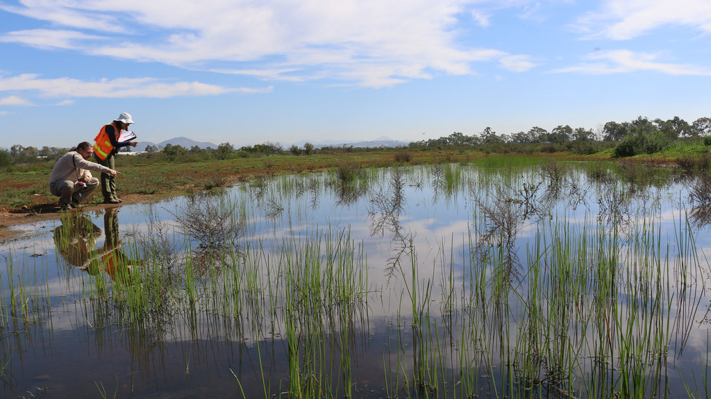 Photo by Joanna Gilkeson/USFWS.