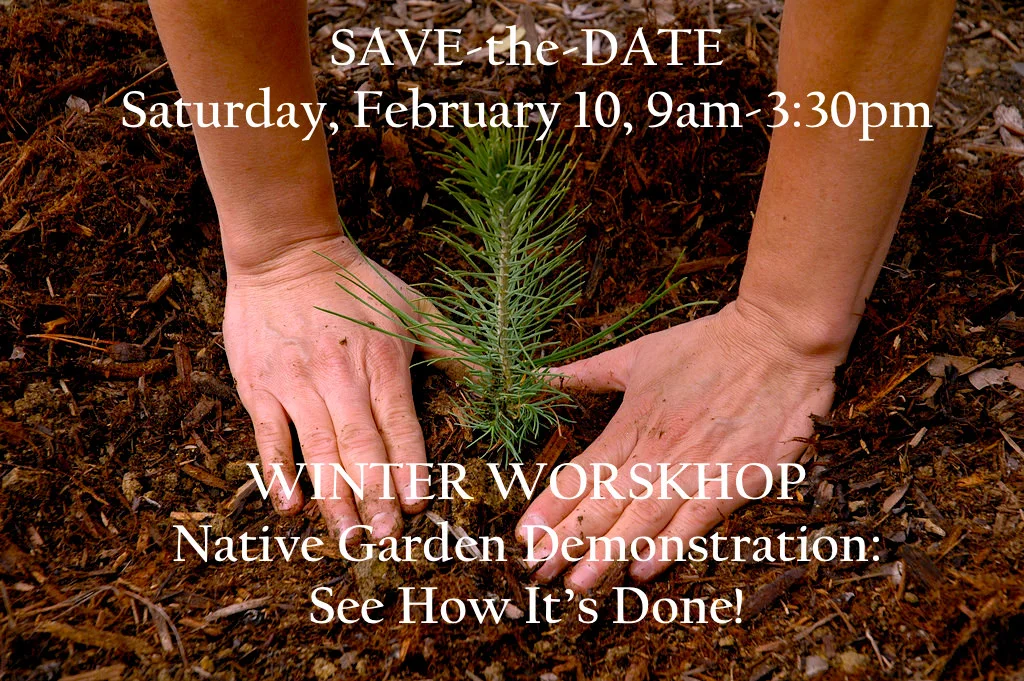 Winter Workshop Save the Date Final.jpg