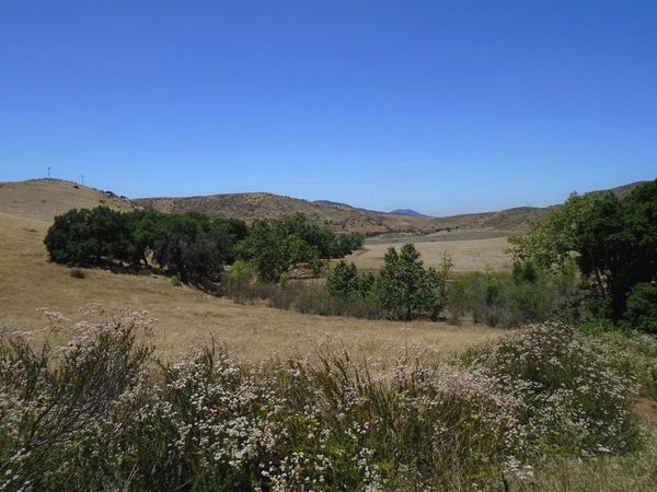 Hollenbeck.jpg