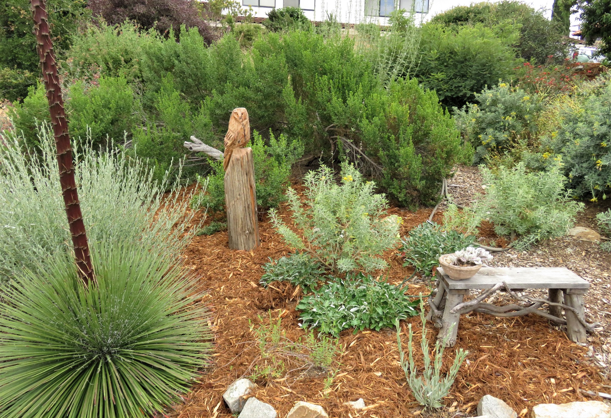 CNPS-SD Garden Tour 2018 Press Photo 3 (author-Kevin Fields).jpeg