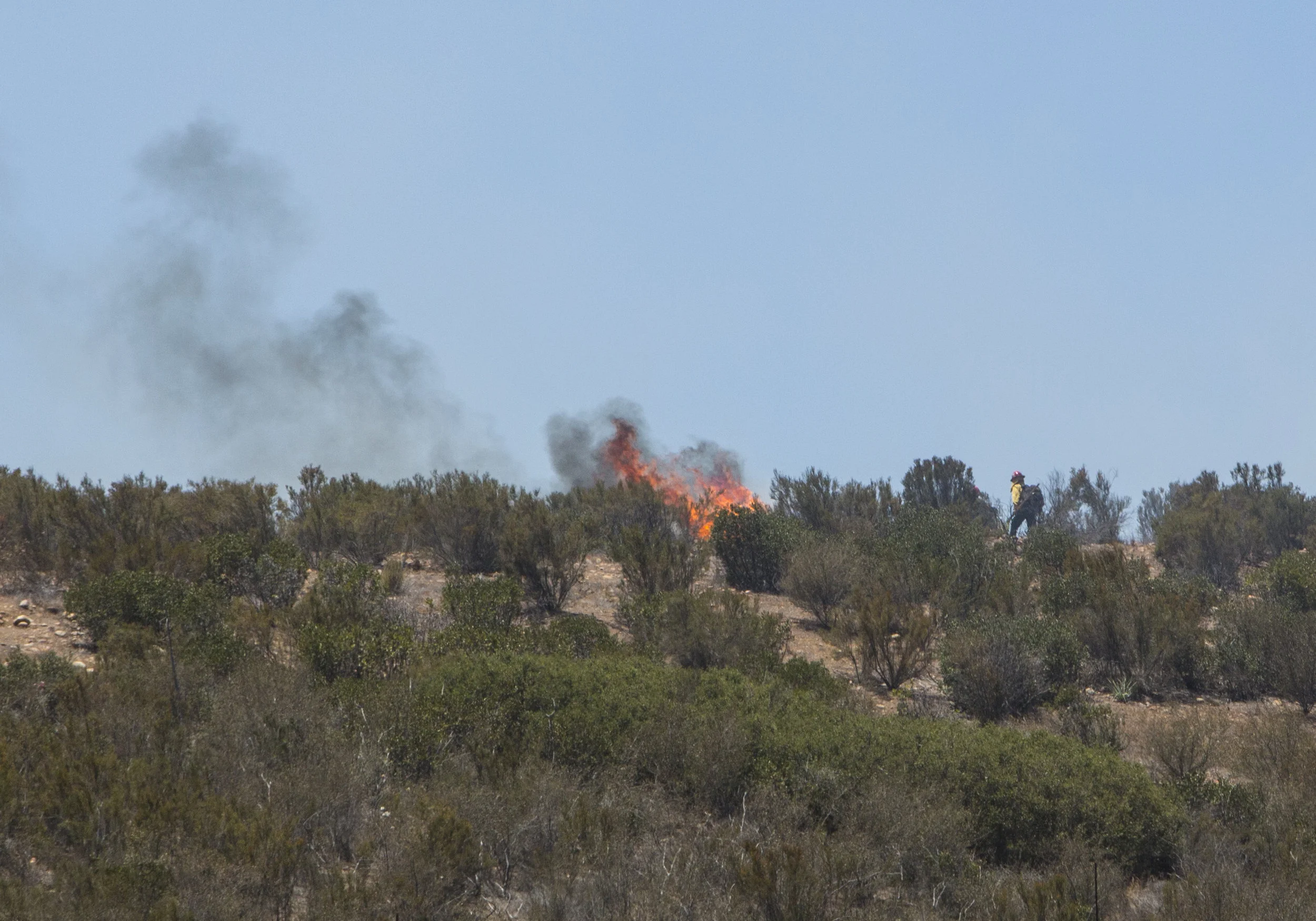 Prescribed burn at Miramar