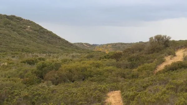 DEL MAR MESA.jpg