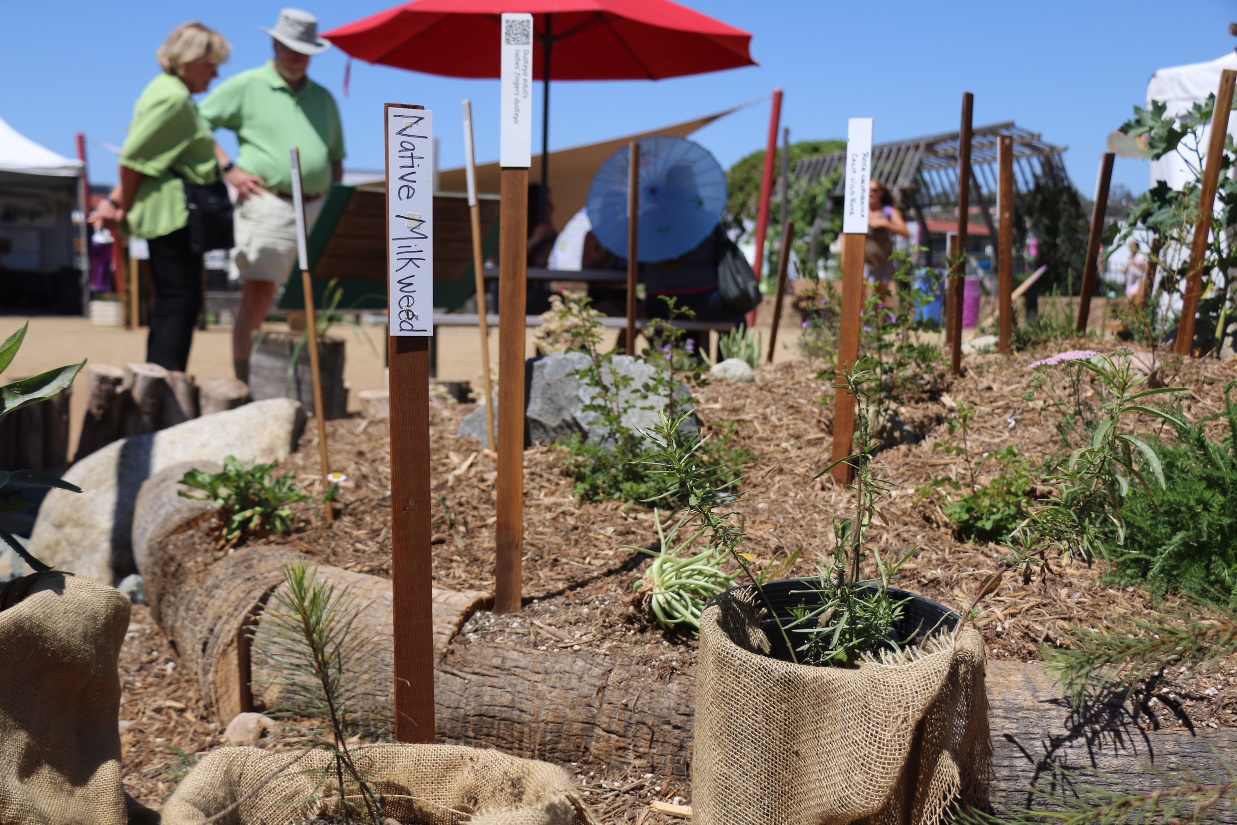 Pollinator Exhibit by USFWS 1.JPG