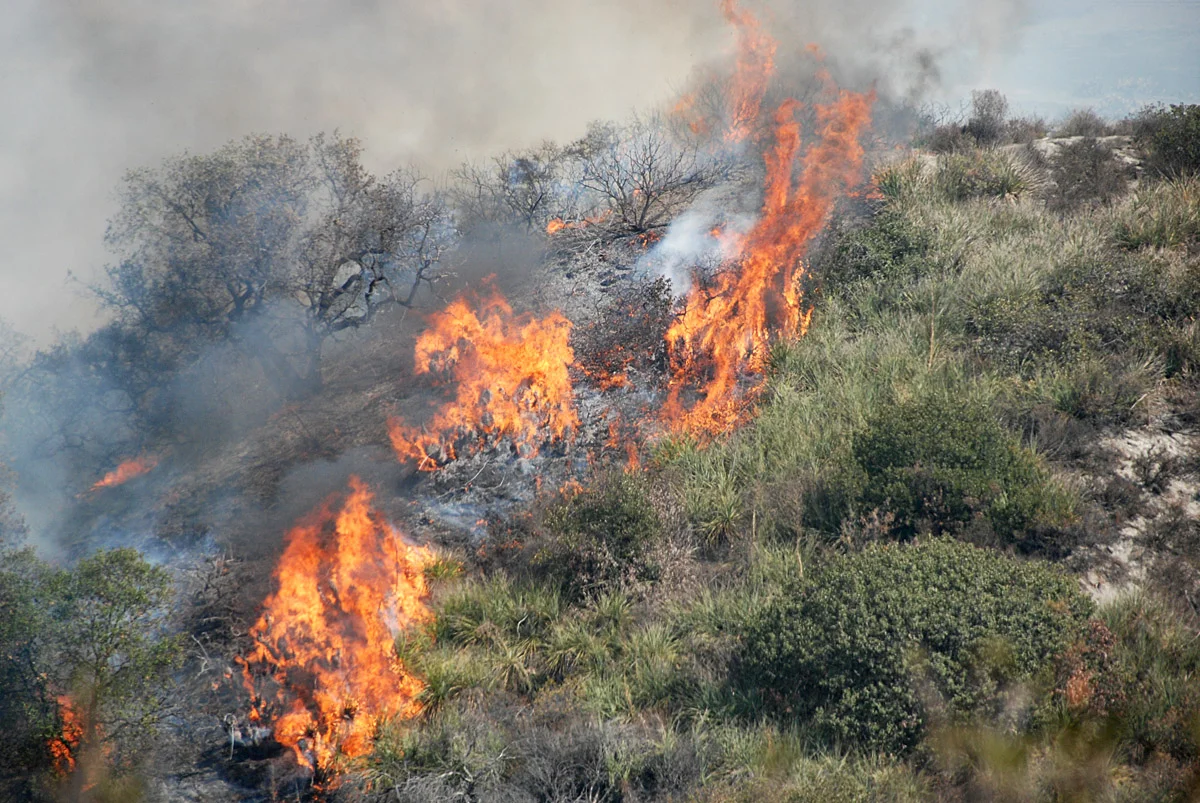 Richard Smith&nbsp;from Orange County, USA,&nbsp;Fires cross a hill in SoCal October 2007,&nbsp;CC BY 2.0