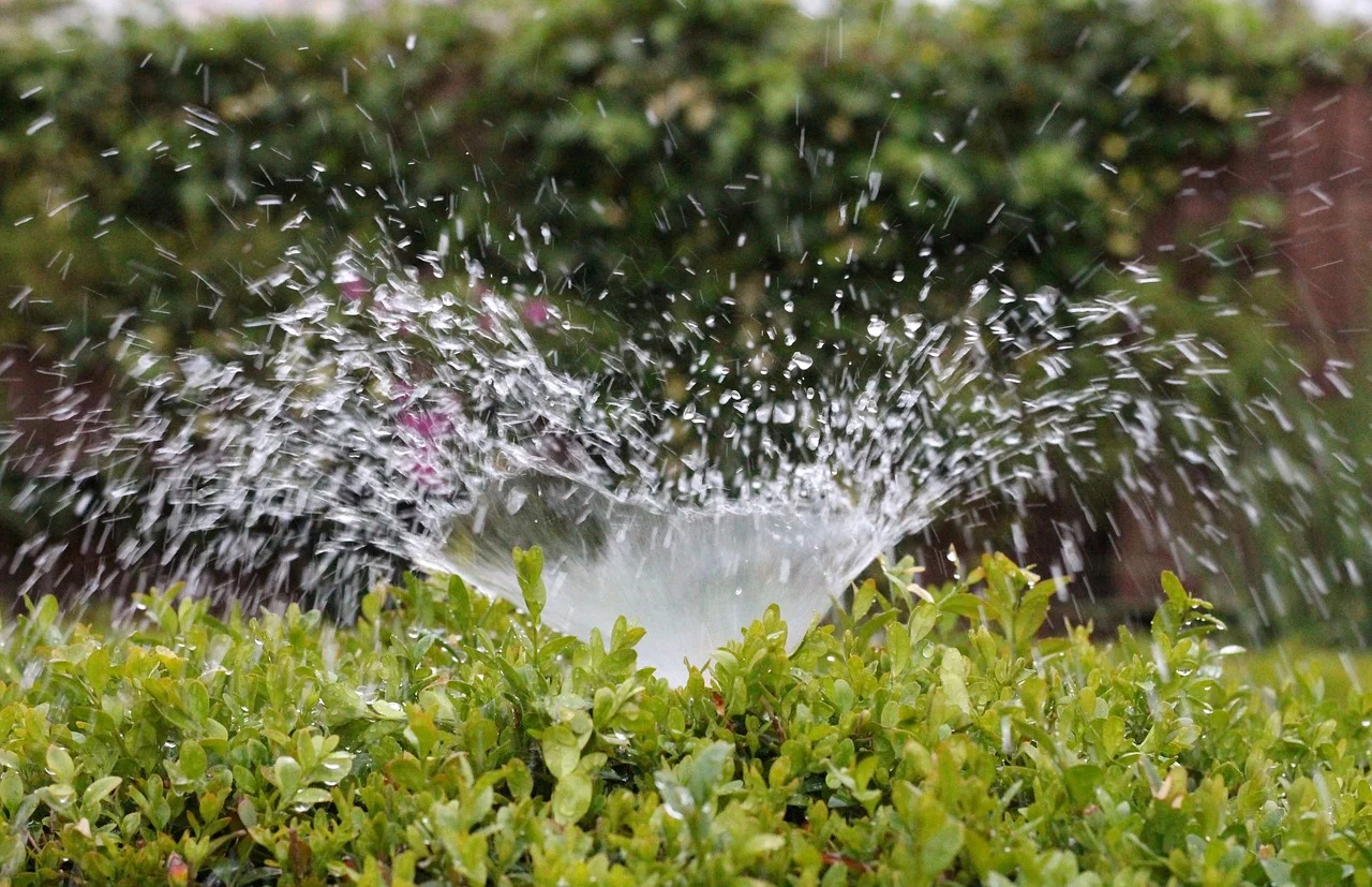 Summer-Inject-Water-Casting-Irrigation-Sprinkler-2402568.jpg