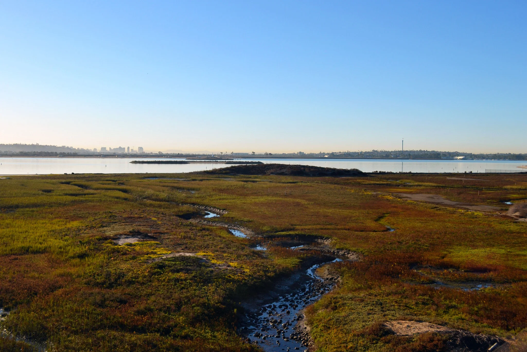 Photo by Joanna Gilkeson/USFWS https://www.flickr.com/photos/usfws_pacificsw/30209674373