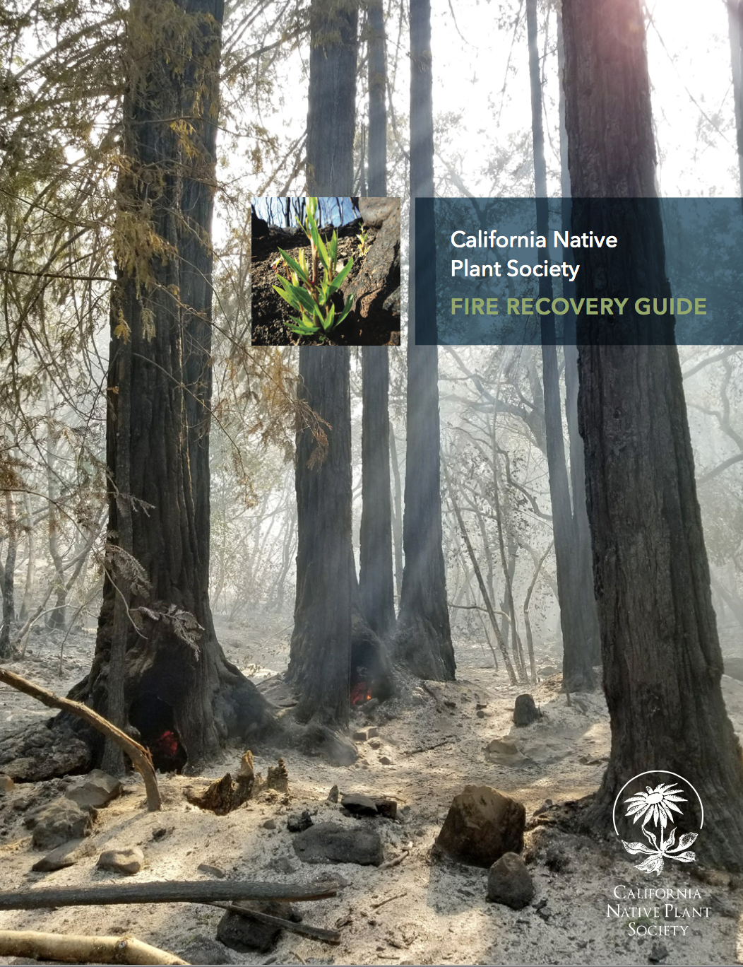 fire recovery.png