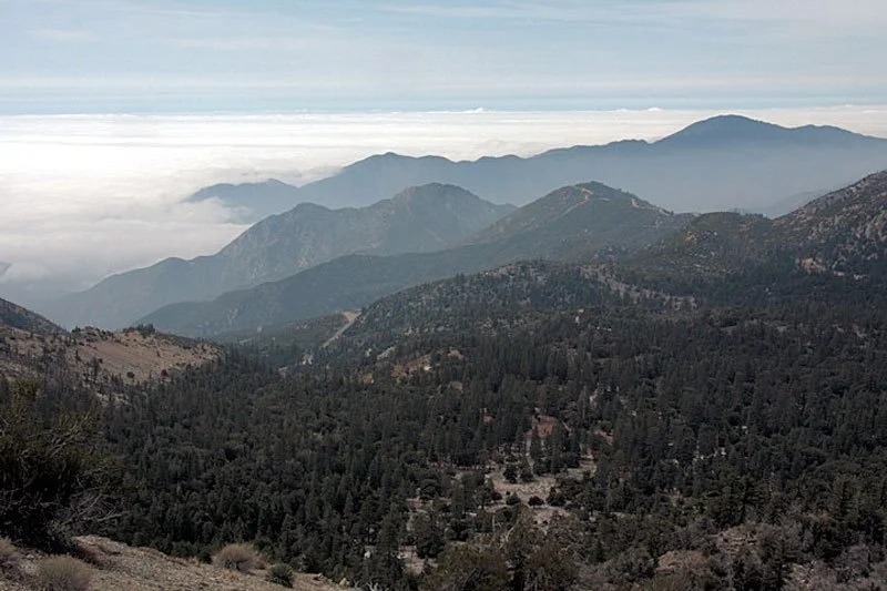 2012_CrystaL-Lake-Graham-Bothwell-800x533.jpg
