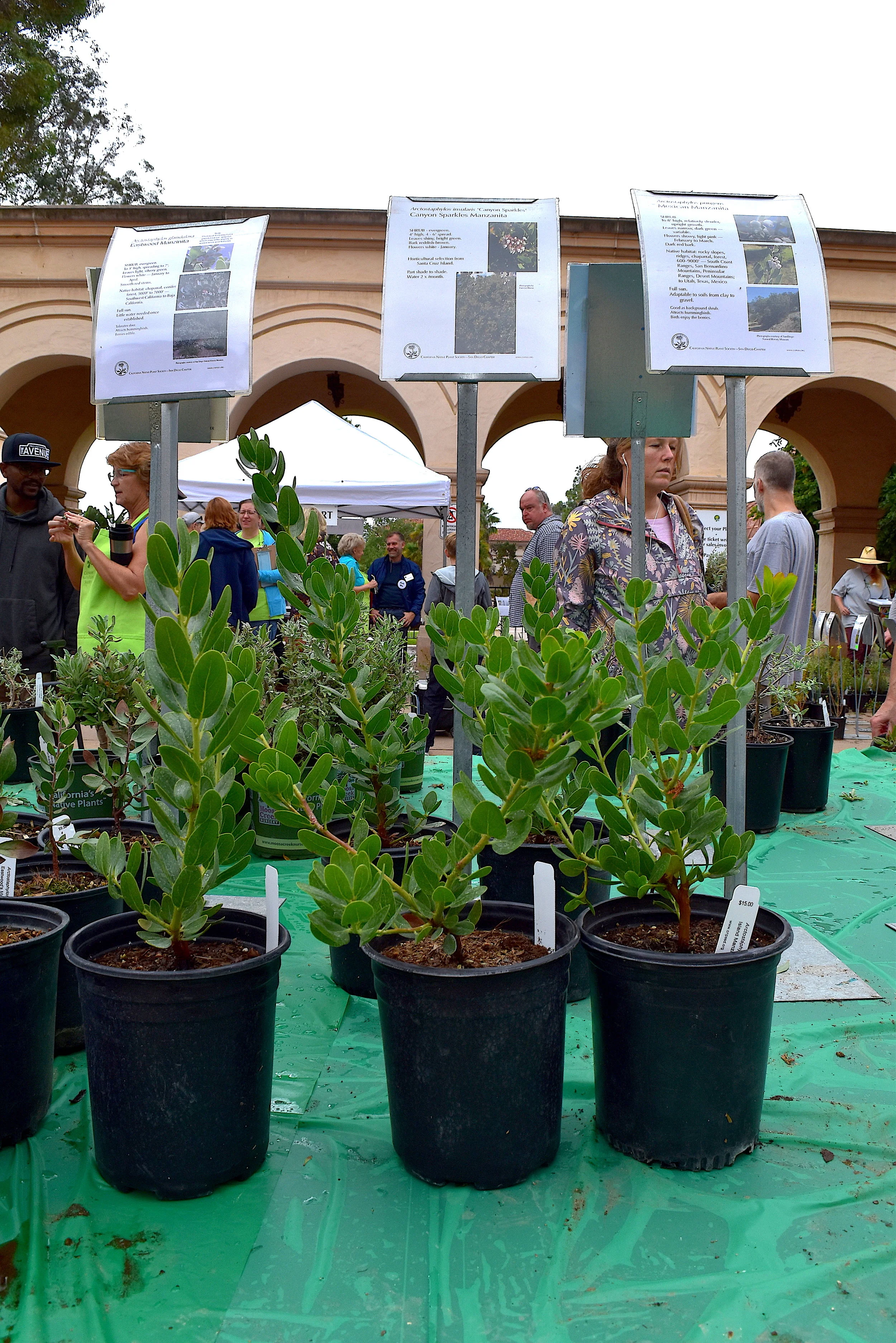 Upcoming Events California Native Plant Society San Diego - 