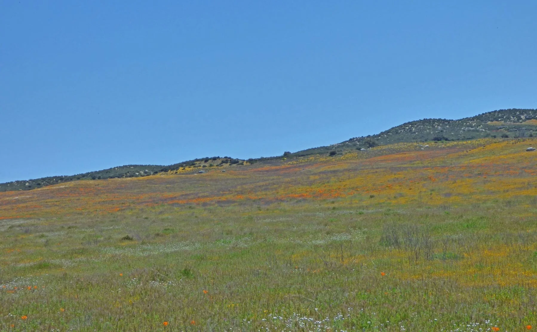 The distant slopes were even more promising -