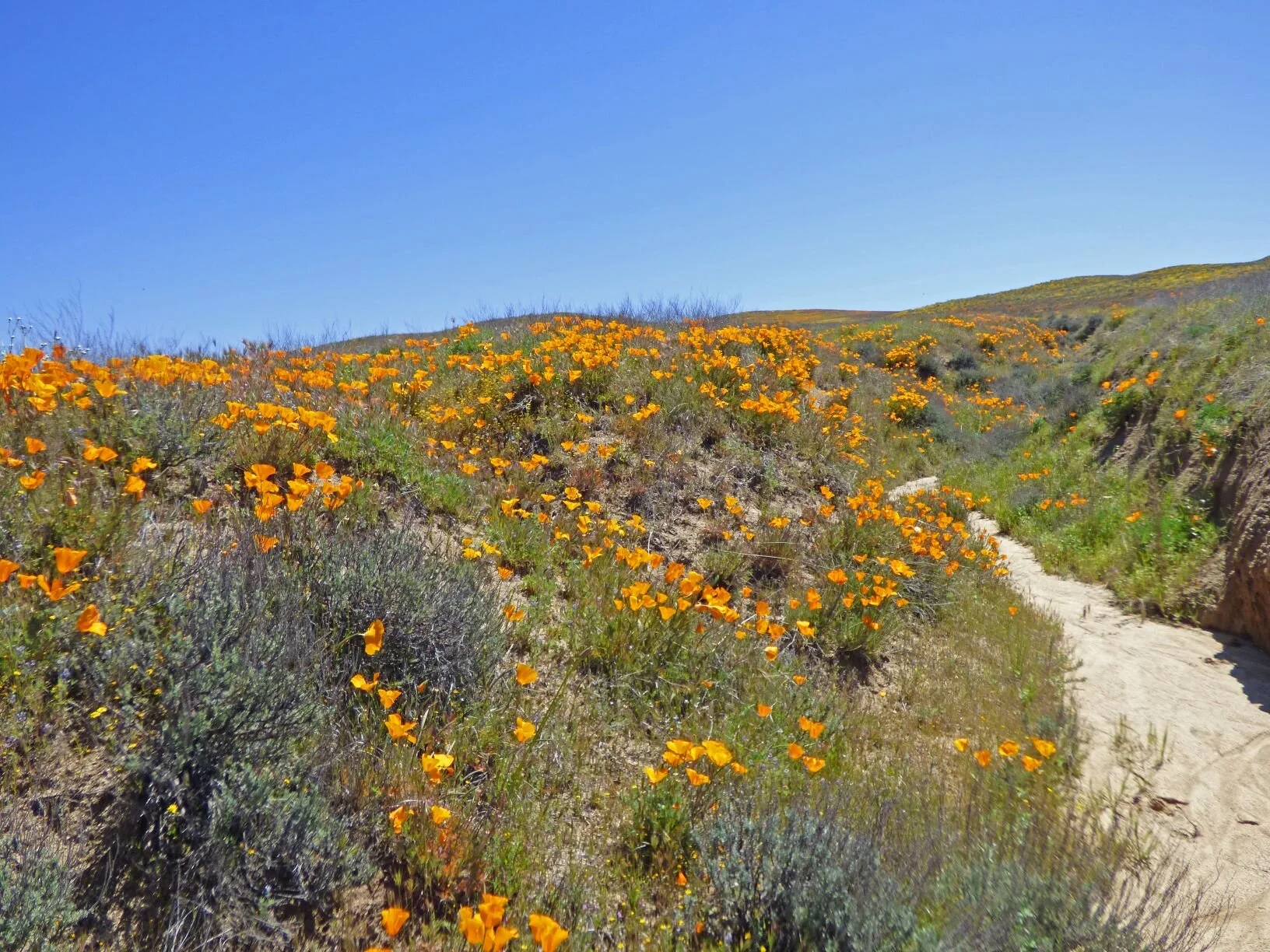 including a dry creek bed on the side.