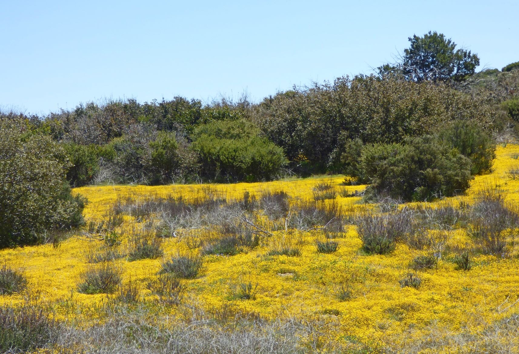 A familiar area in Ranchita did not offer anything new,