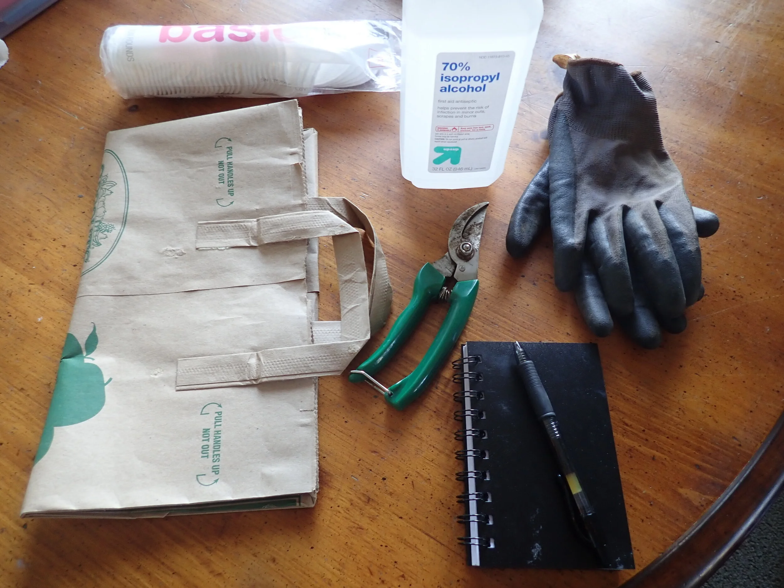 Tools for seed collection