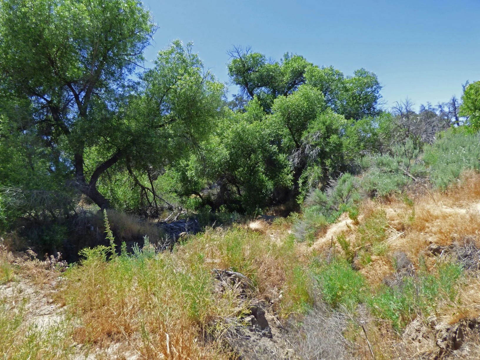 After passing dry Adobe Springs