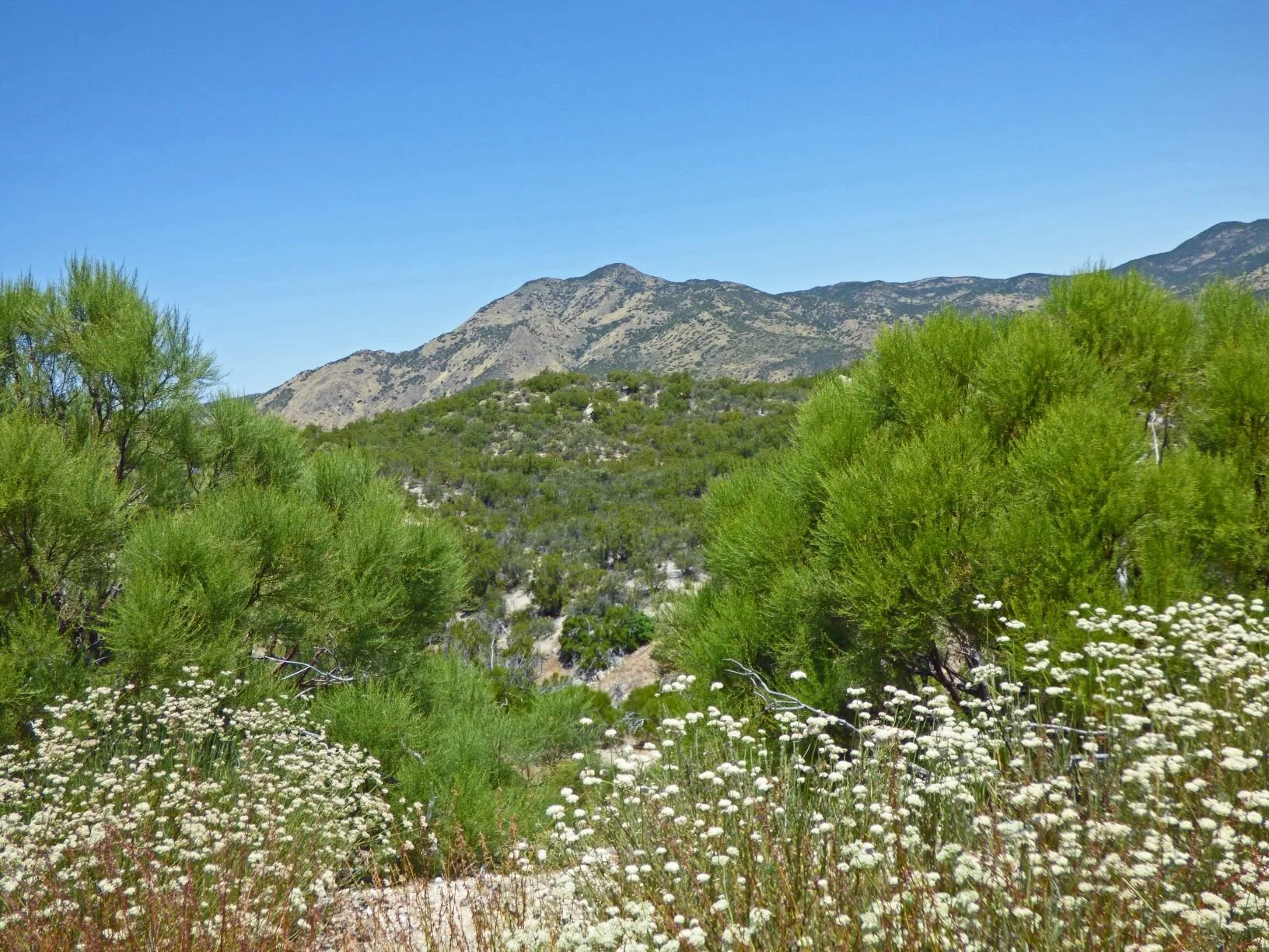 we caught our first glimpse of Beauty Mountain.