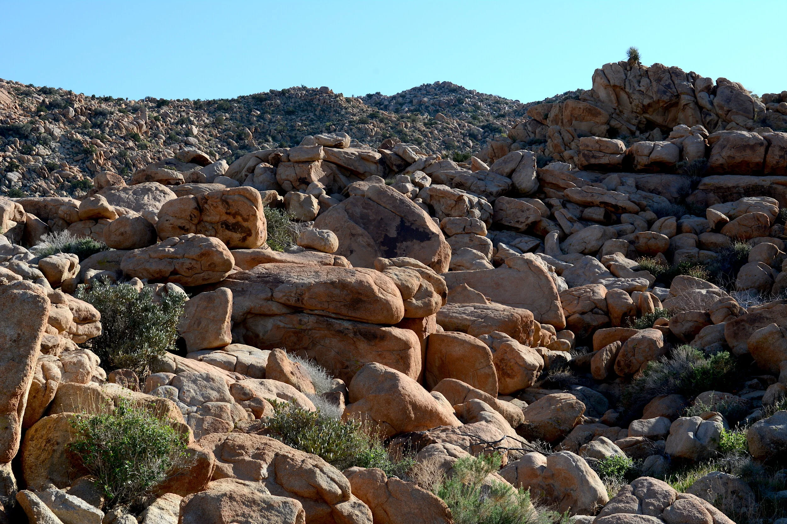 Jacumba Mountains — San Diego Chapter