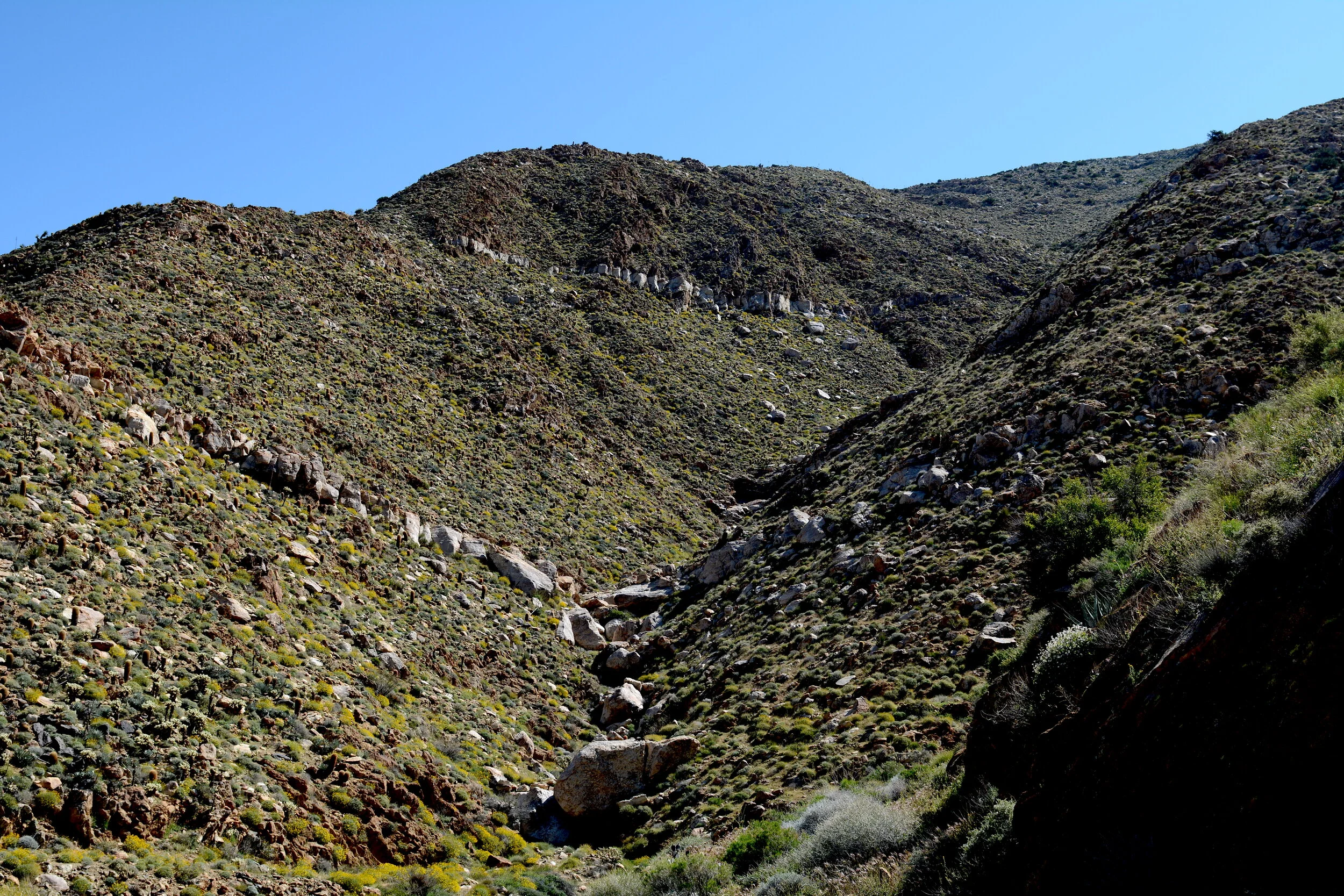 Desert transition zone