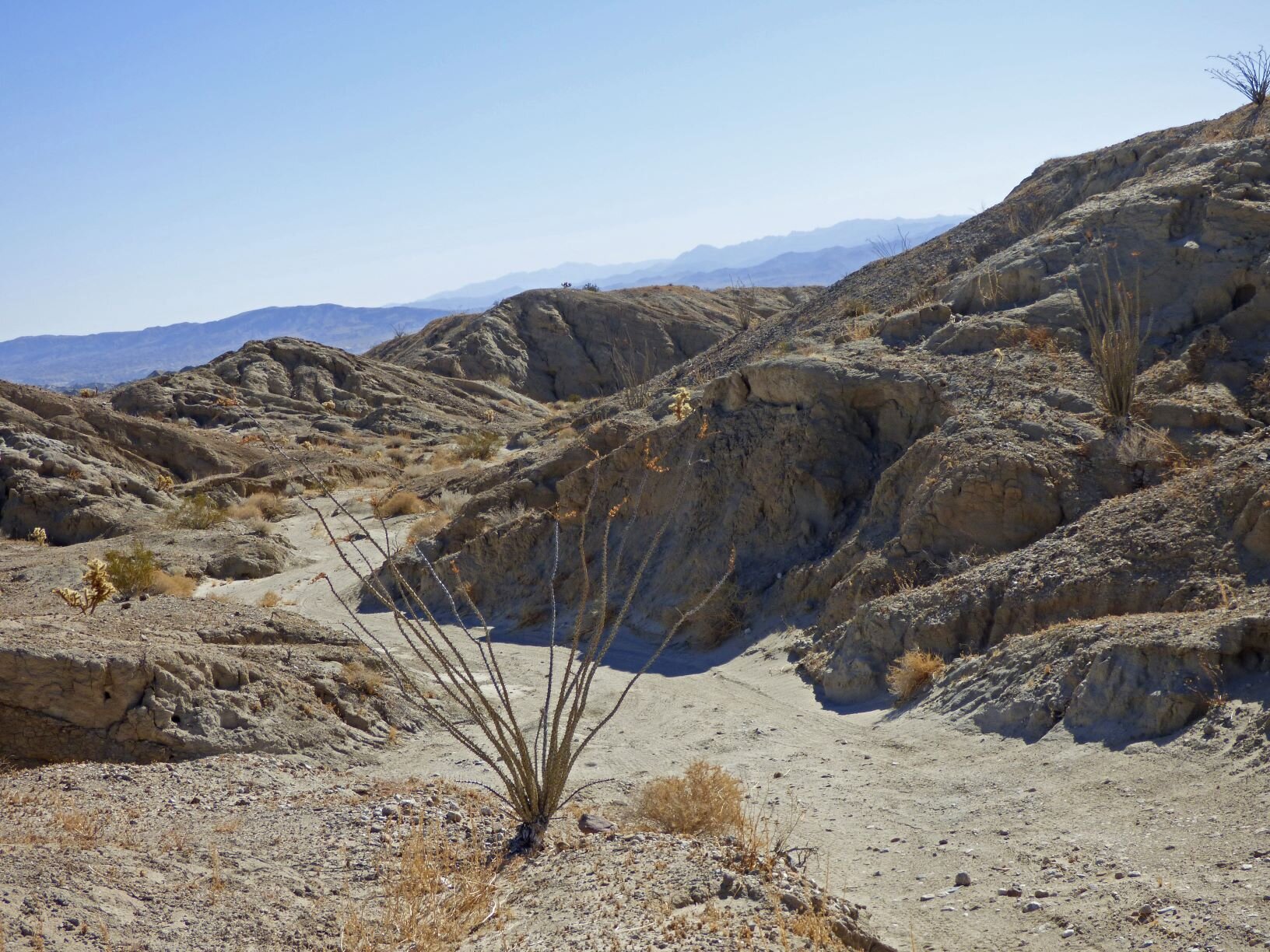 From the Carrizo Valley, we took a walk through the View of the Badlands Wash