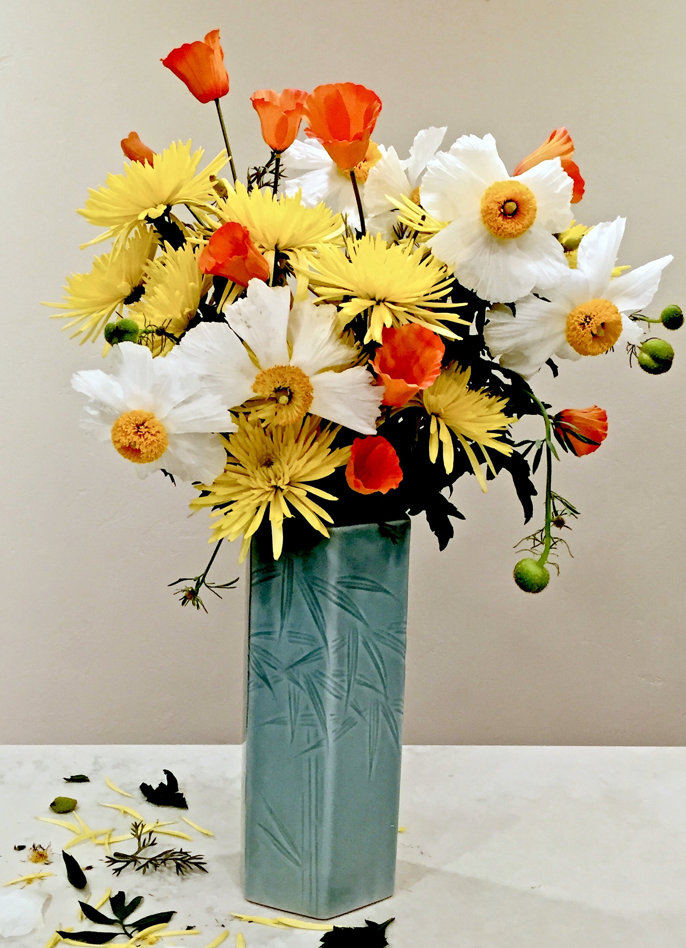 Matilija Poppy (Romneya coulteri) &amp; California Poppy (Eschscholzia californica)