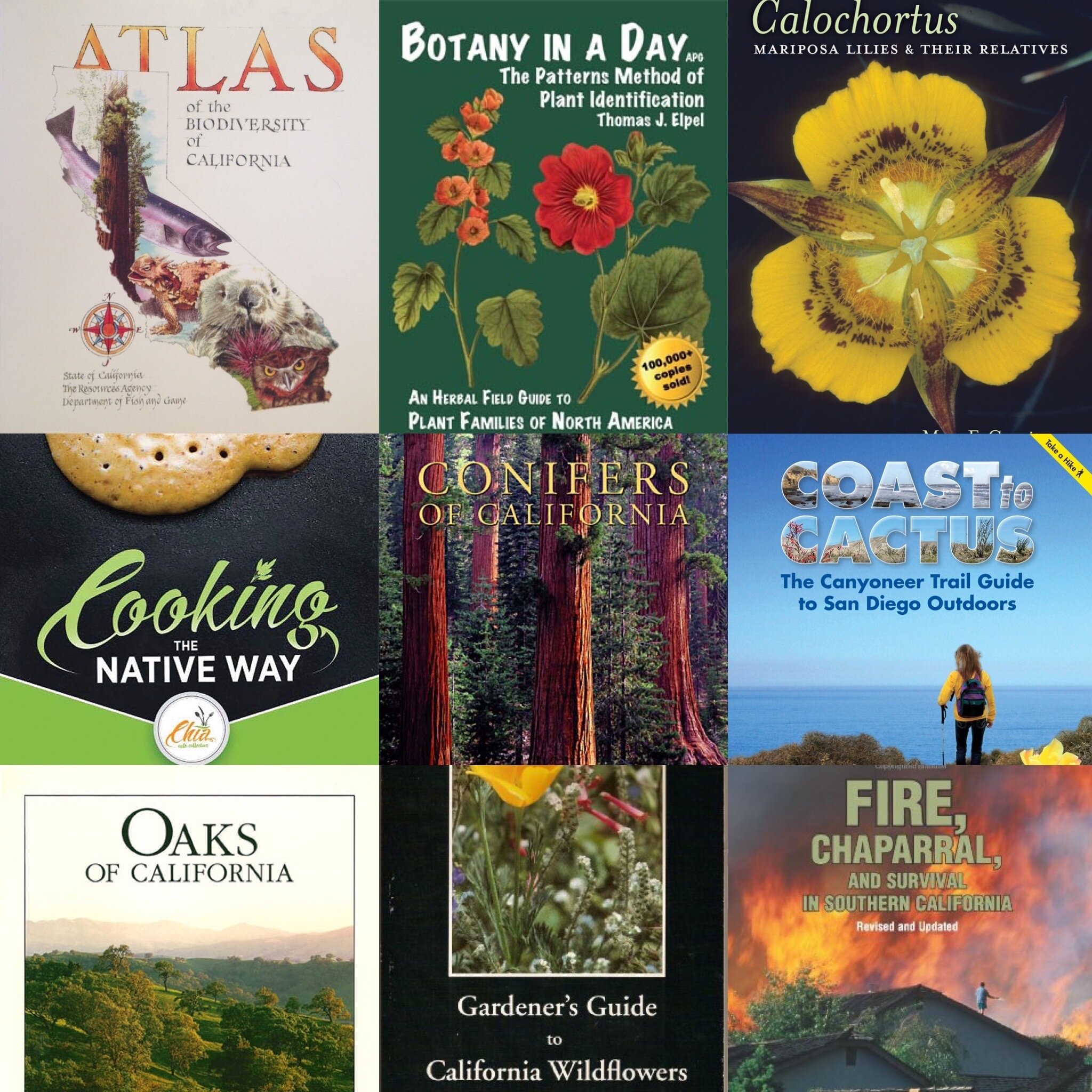 new books for 2021 Winter Plant Sale.JPG