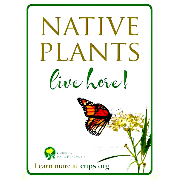 Native Plants Live Here Sign.png