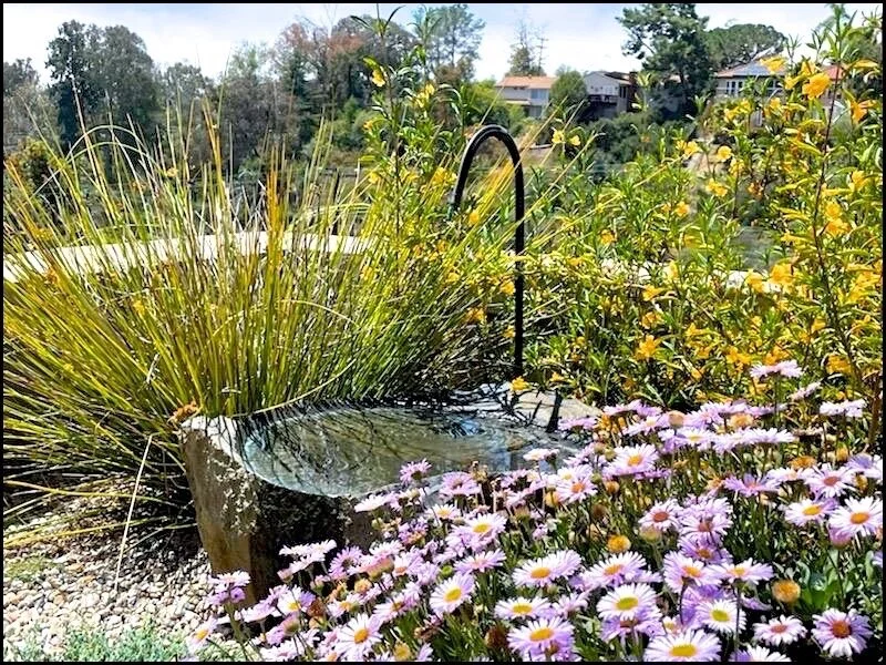 Leo Hernandez installed this Drip Bird Bath at the Afshar residence in La Jolla. Photo Credit: Leo Hernandez