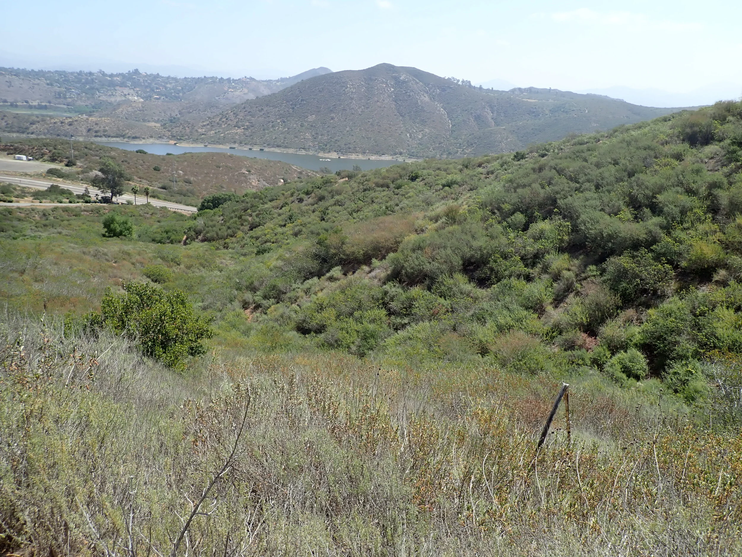 Del Dios Highlands - Lake Hodges. Photo credit: Justin Daniel.