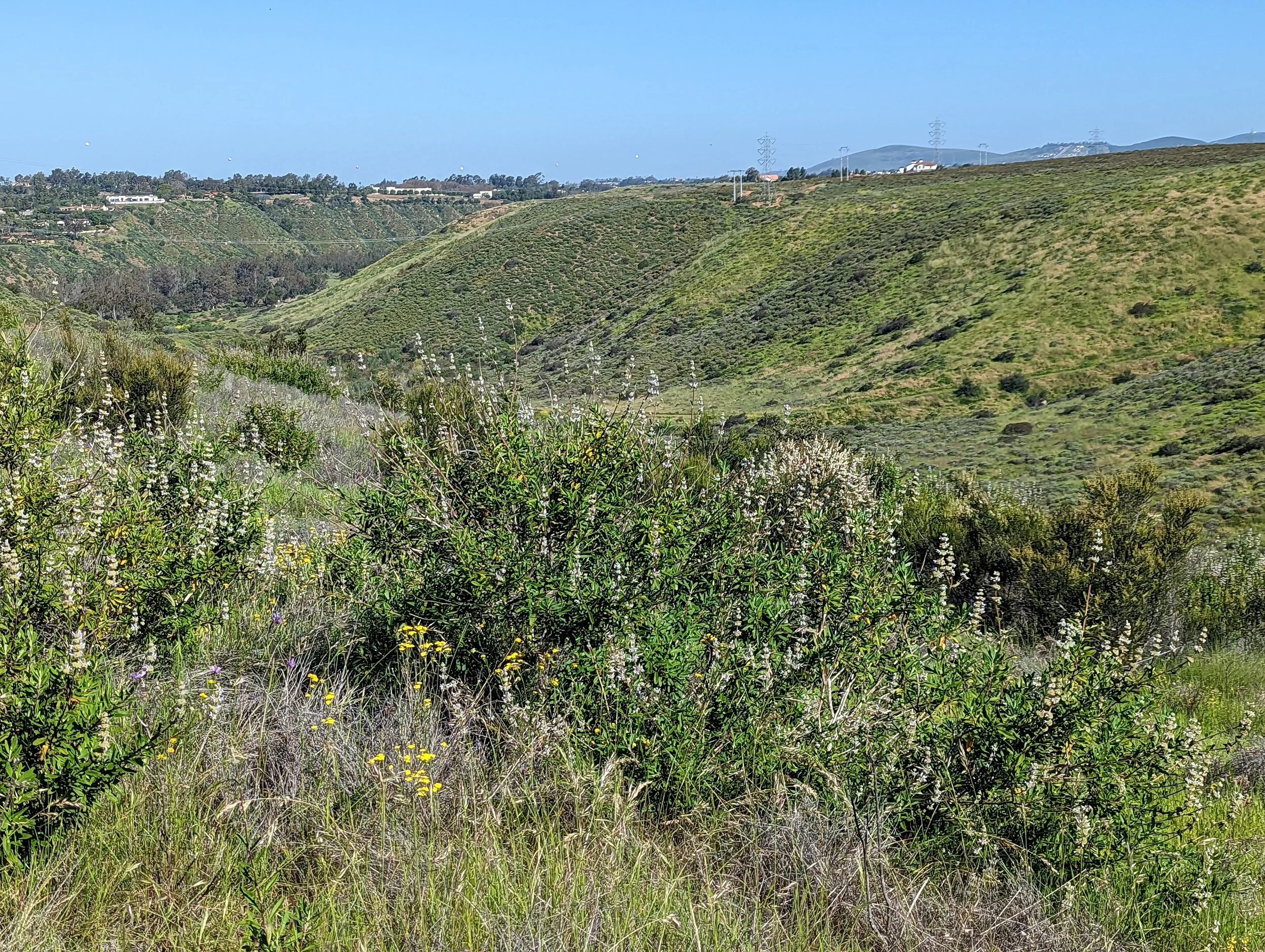 PXL_20230420_161342224.jpg