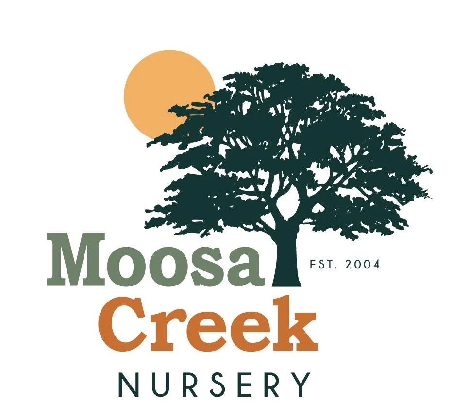 Moosa Creek Logo 2024.jpg