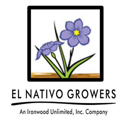 El Nativo Square.png