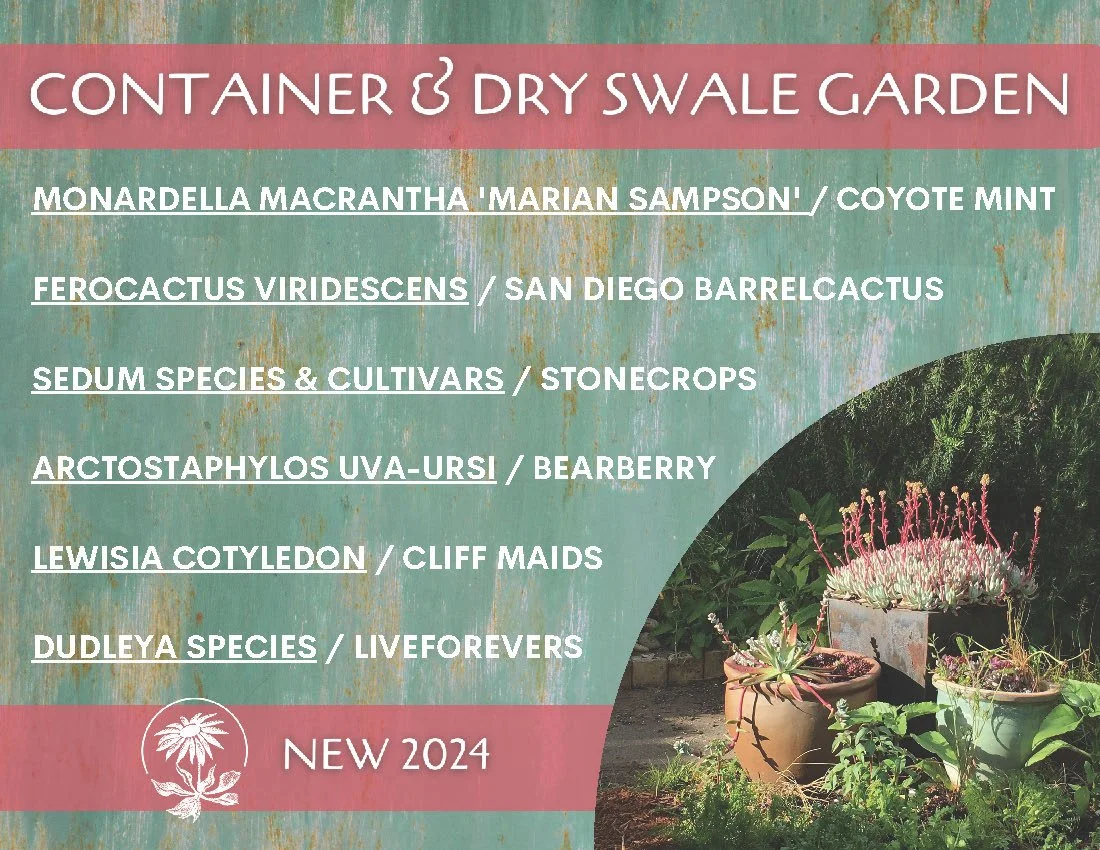 CNPSSD24_Postcard_Container Dry Swale Plant Pack_Page_1.jpg